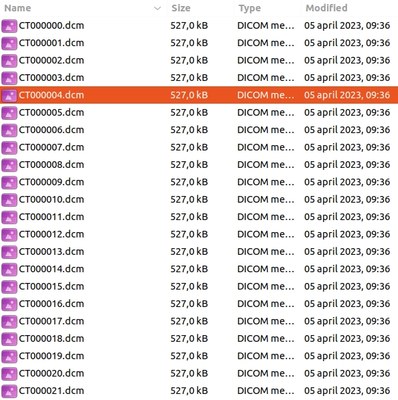 orthanc export DICOM 1.jpg