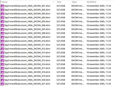 orthanc import DICOM 1.jpg